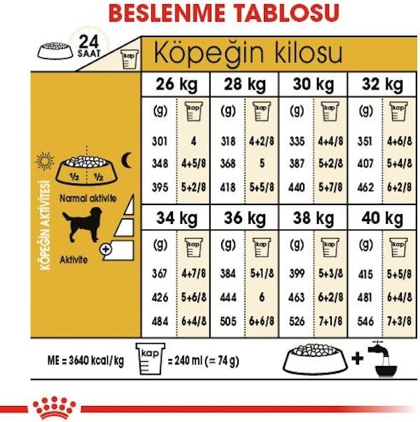 DeFacto Straight Fit Basic Cepli Yüksek Bel Eşofman Altı B8571AX25AU görsel 8