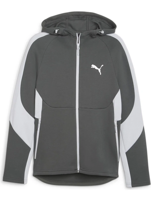 Puma Evostripe Full-Zip Hoodie Erkek Sweatshirt