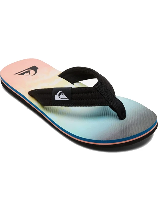 Quiksilver Molokai Layback Erkek Terlik