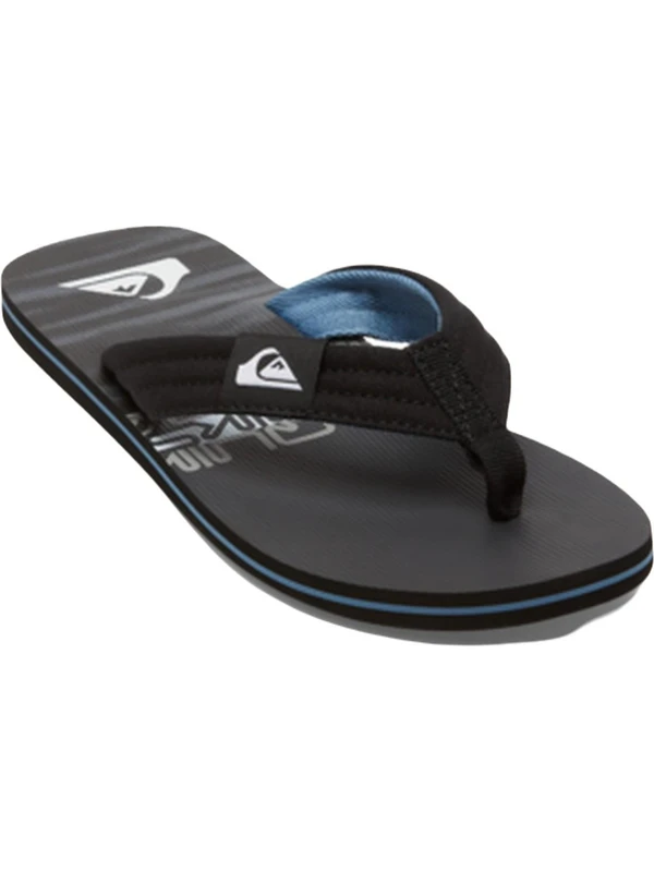 Quiksilver AQYL101339 Molokai Layback Iı Erkek Terlik