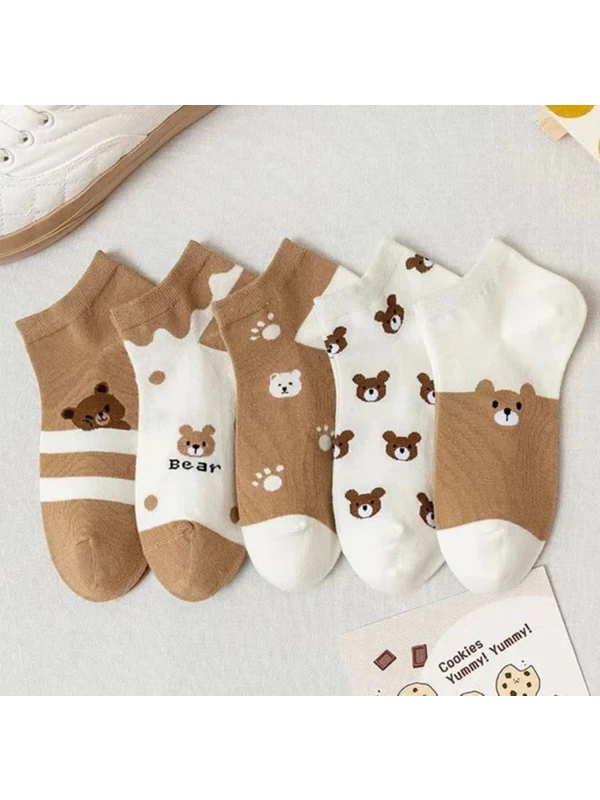 Çorap Kurdu 5’li Ekonomik Paket Teddy Bear Temalı  Patik Çorap Set