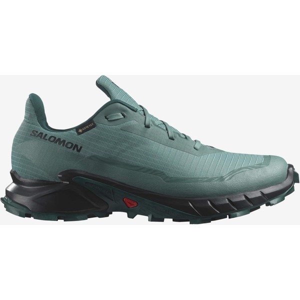 Salomon Alphacross 5 Gore-Tex L47595000 Yeşil Erkek Koşu