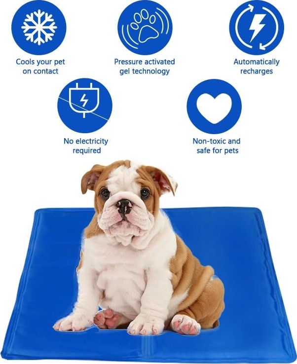 Die Grup Kahu Naturals Somon Yağlı Malt, Omega-3 (Epa & Dha) Içerikli, Kedi ve Köpek Için, 100 G görsel 4
