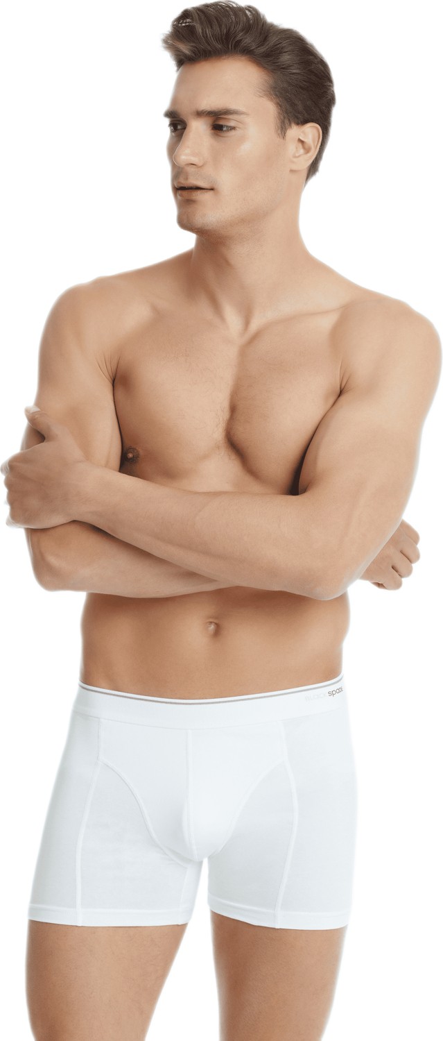 Blackspade Erkek Boxer 3'lü Paket Tender Cotton 9673 - Beyaz görsel 3
