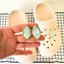 Crocs Terlik Uyumlu 2'li Mekik Aksesuar 3