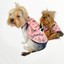 Pink Istanbul Atlet Köpek Kıyafeti Köpek Elbisesi 1