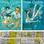 Denizin Çocukları 1. - 2. Ciltler Manga Seti - Daisuke Igarashi + Matematik Öğreten Ayraç 1