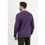 Erkek V Yaka Düğme Detaylı Dokulu Sweatshirt Mor - 5524 4