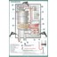 Şampiyon Plus Elektrikli Banyo Şofbeni 8000W 7