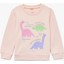 Uzun Kollu Bisiklet Yaka Dinozor Baskılı Şardonlu Pamuklu Sweatshirt 1