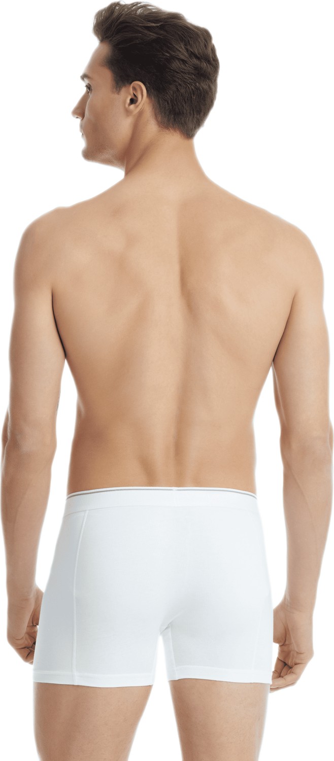 Blackspade Erkek Boxer 3'lü Paket Tender Cotton 9673 - Beyaz görsel 4