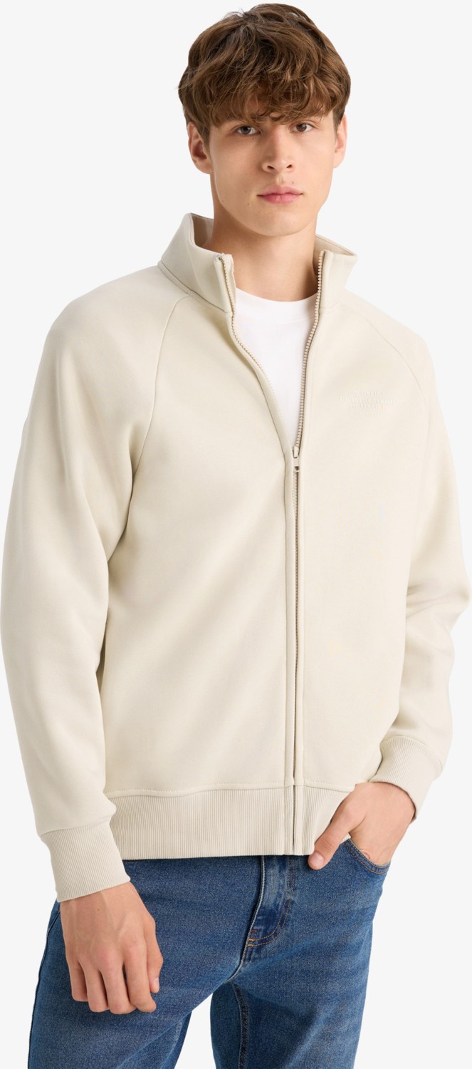DeFacto Boxy Fit Dik Yaka Baskılı İçi Yumuşak Tüylü Cepli Fermuarlı Sweatshirt E1367AX25AU görsel 3
