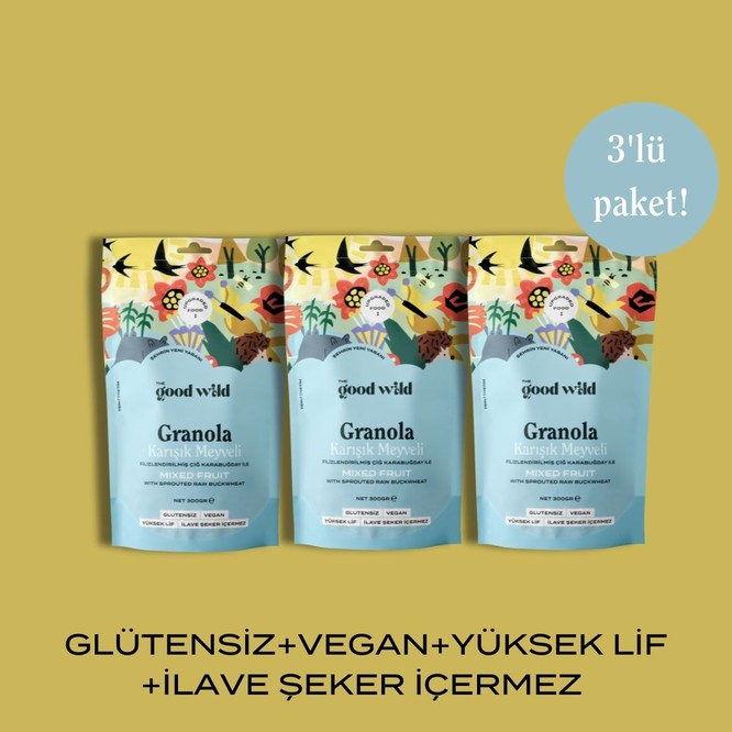 The Good Wild Karışık Meyveli Granola | İlave Şekersiz | Glutensiz Vegan Atıştırmalık | Yüksek Lif | 3 x 300 gr
