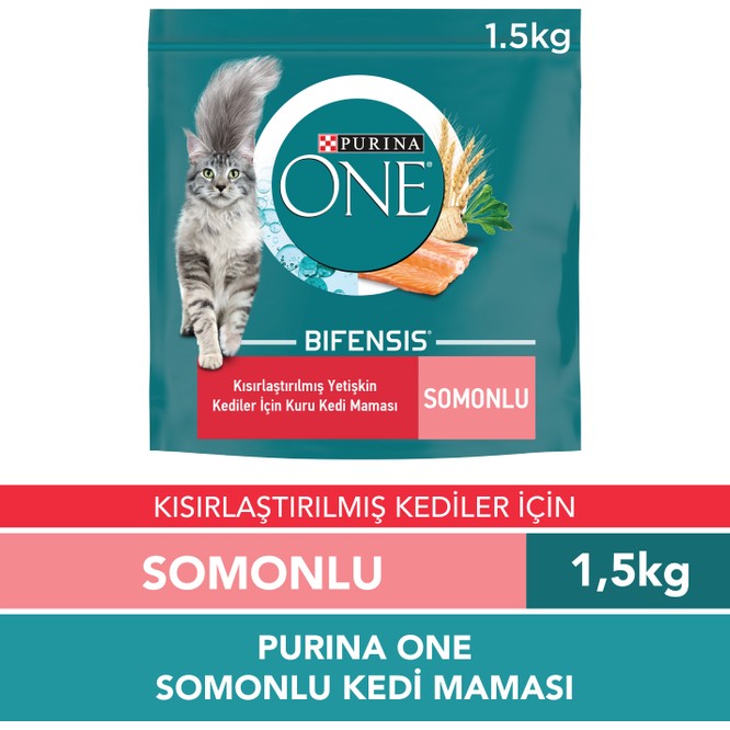 Purina One Somonlu Kısırlaştırılmış Kedi Maması 1,5 kg Bifensis Formülü ile Sağlıklı Metabolizma