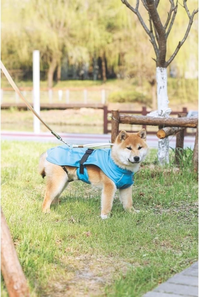 Aesco M-Pets Dog Raın Coat Yağmurluk (M) görsel 2