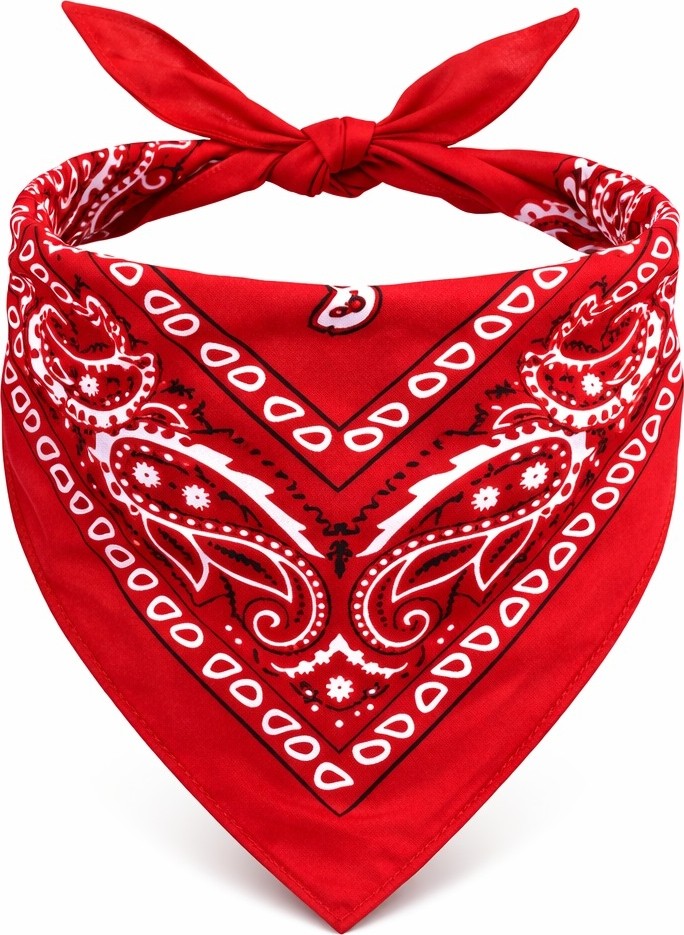Toyigoo Kırmızı Kovboy Fuları Çocuk Bandana Western Desenli Boyun Fuları (4887) IEG4I48DFMK-TYGOO496