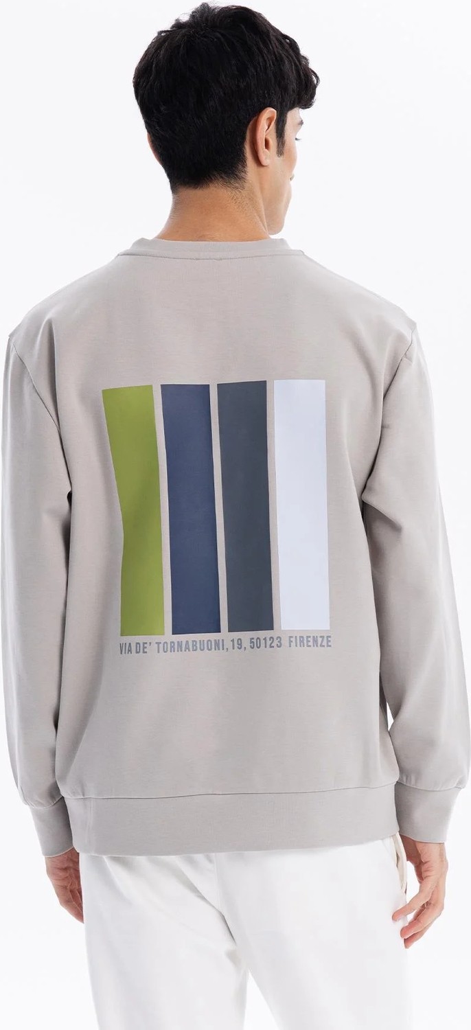 gmg firenze Bisiklet Yaka Göğsü Nakış Detaylı Colour Block Baskılı Erkek Sweatshirt görsel 3