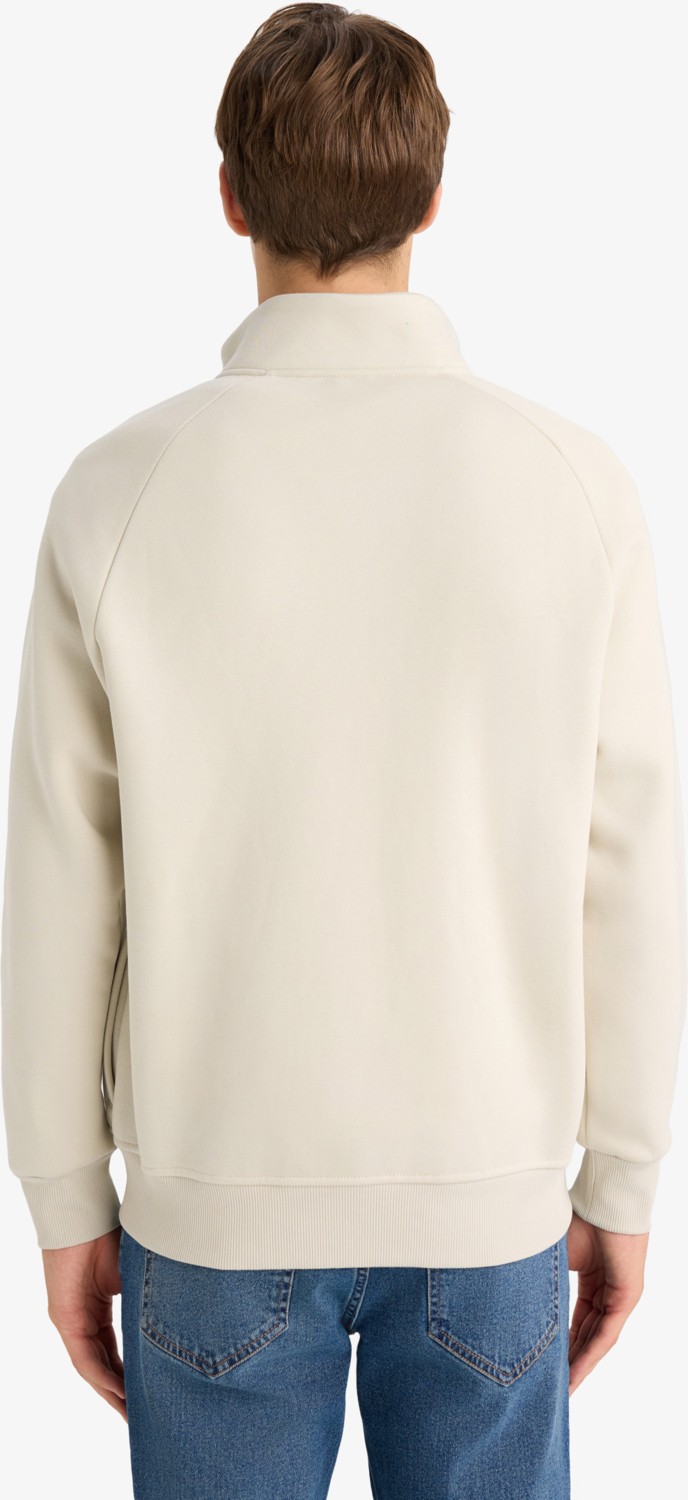 DeFacto Boxy Fit Dik Yaka Baskılı İçi Yumuşak Tüylü Cepli Fermuarlı Sweatshirt E1367AX25AU görsel 6