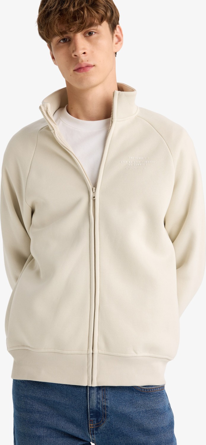 DeFacto Boxy Fit Dik Yaka Baskılı İçi Yumuşak Tüylü Cepli Fermuarlı Sweatshirt E1367AX25AU