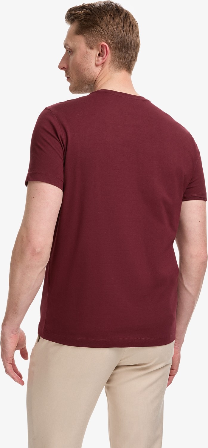 Pierre Cardin Erkek Bordo Slim Fit %100 Pamuk Bisiklet Yaka Basic Tişört 50325307-VR014 görsel 5