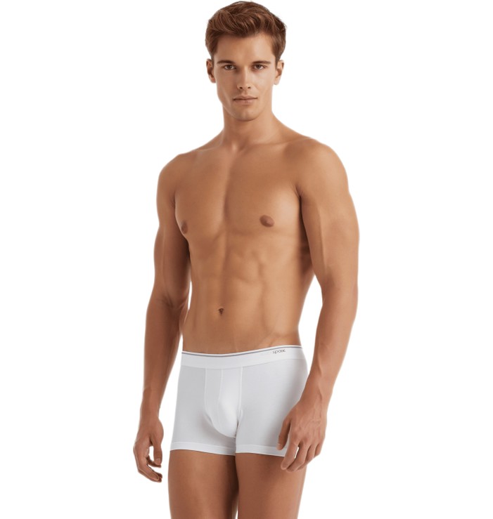 Blackspade Erkek Boxer 3'lü Paket Tender Cotton 9670 - Lacivert Mavi Denim görsel 3