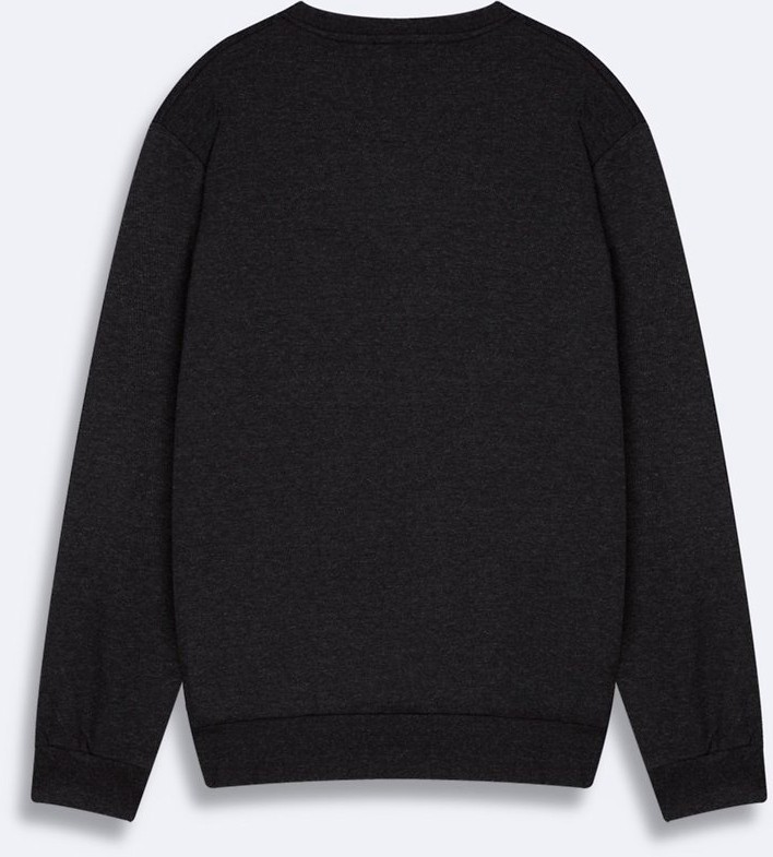 LTB Regular Fit Sign Baskılı Bisiklet Yaka Antrasit Sweatshırt görsel 3