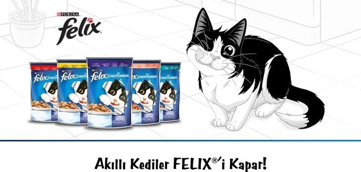 Die Grup Felix Sığır Etli Kedi Yaş Mama (26 x 85 Gr) görsel 4