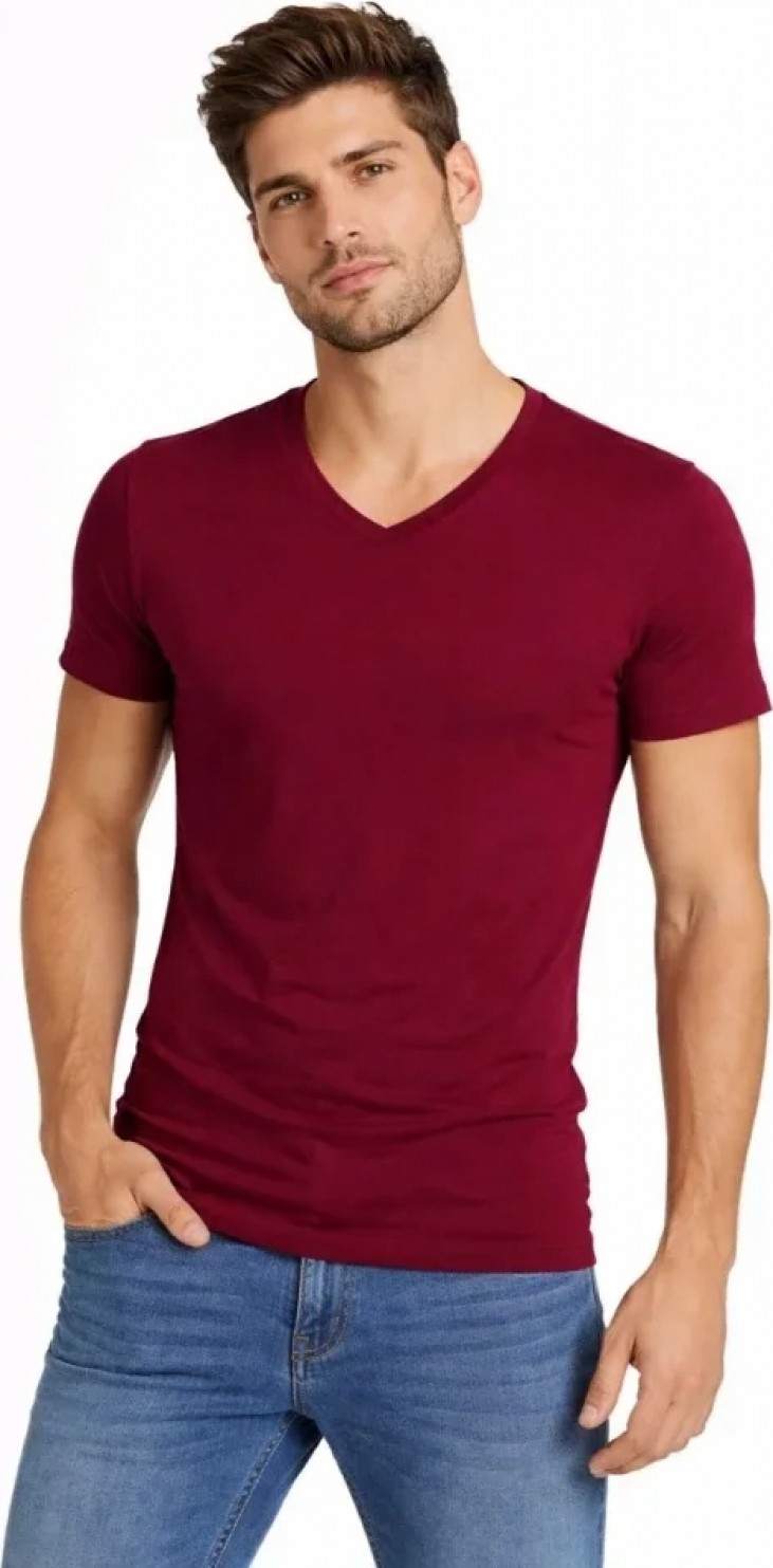 Pileli Store Erkek T-Shirt V Yaka Slim Fit Dar Kesim Likralı Tişört Günlük Basic Body - Bordo