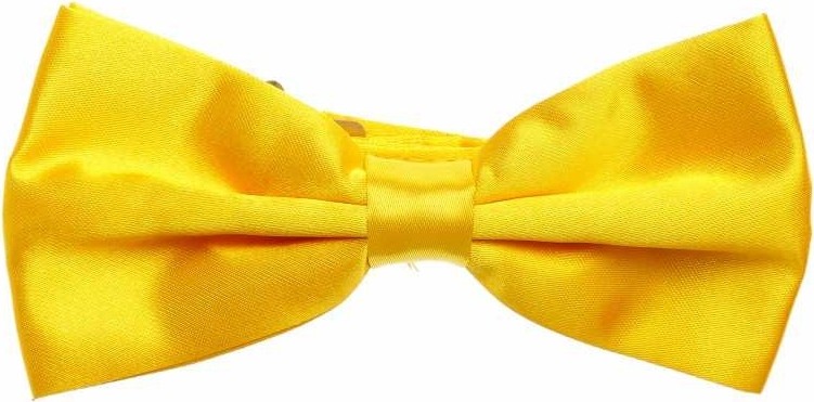 Gaffy Sarı Düz Renk Saten Papyon Parlak Kumaş ile Şık ve Ayarlanabilir Tasarım
