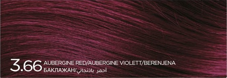 Aesco Sea Color Home Colorist Set Saç Boyası 3.66 Kızıl Mor Red Purple görsel 2