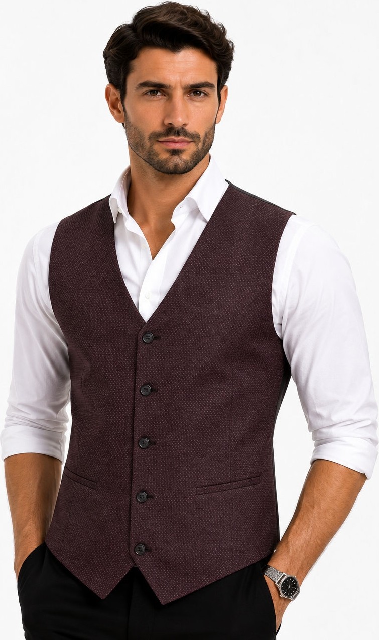Mentor Regalo Erkek Yelek V Yaka Bordo Puanlı 50304 görsel 2