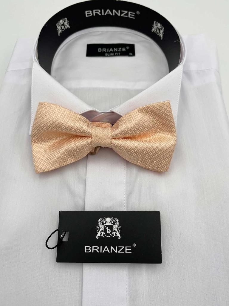 Brianze Somon Papyon Tp-21