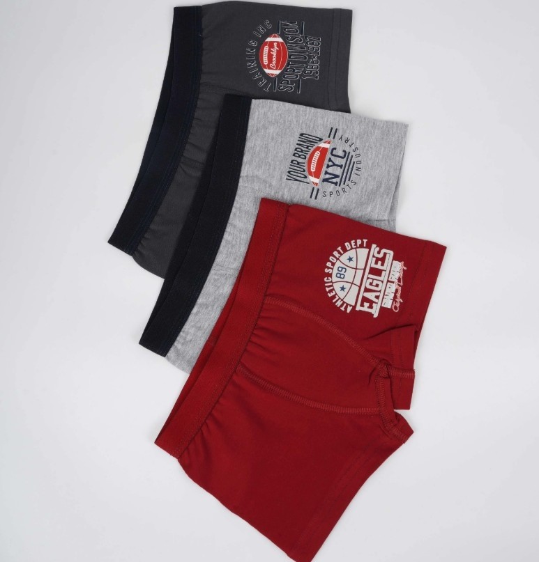 Akıllı Bayi Erkek 2li Boxer Set K128235 (Tek Adet Fiyatı) Aby görsel 4