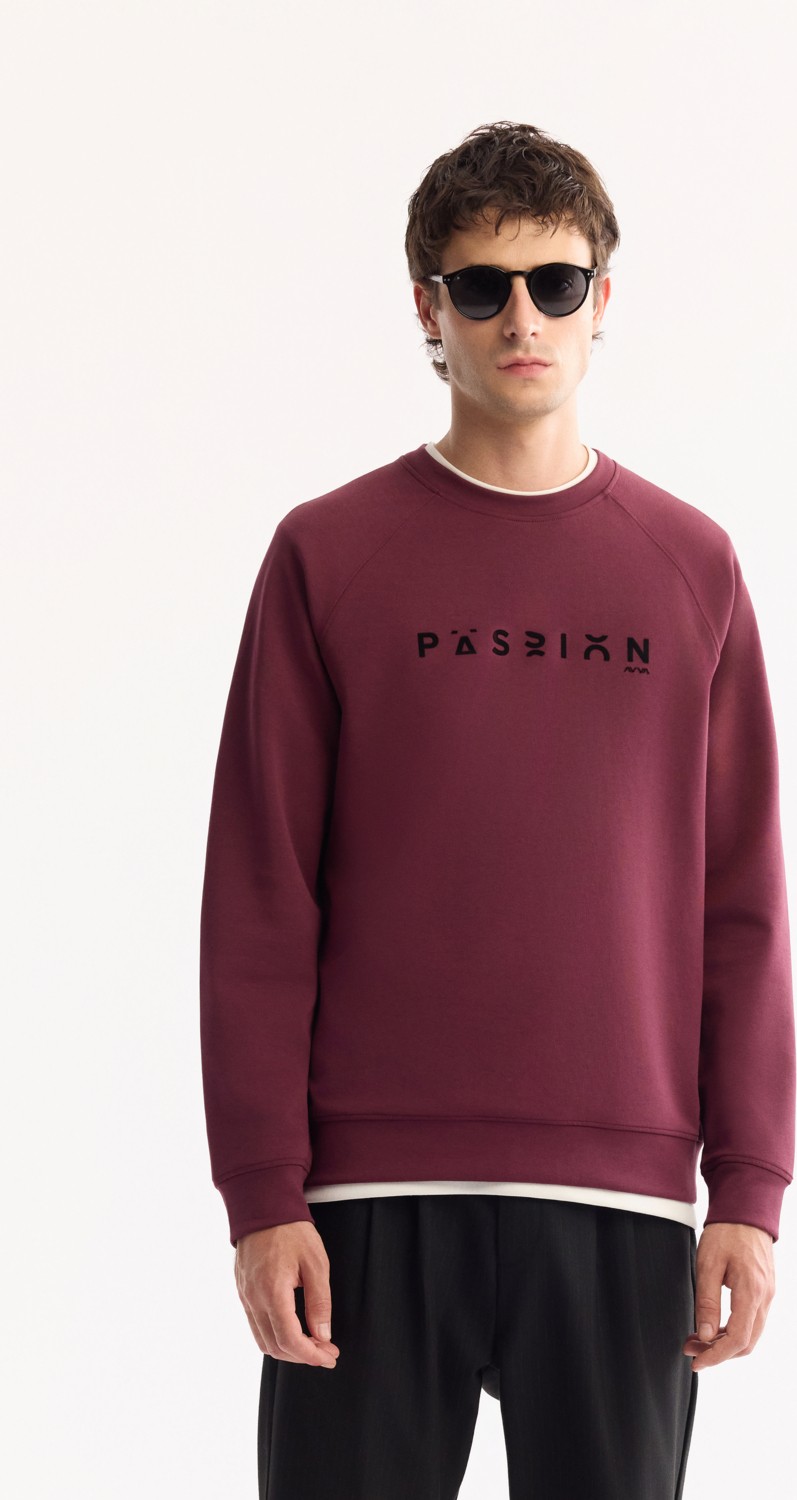 AVVA Erkek Gri Bisiklet Yaka Pamuklu Bi-Stretch Baskılı Regular Fit Sweatshirt A52Y1249