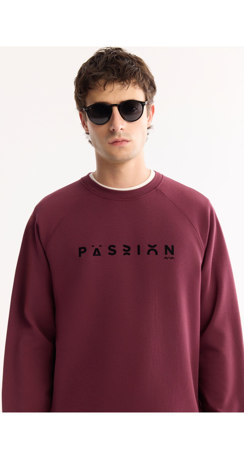AVVA Erkek Gri Bisiklet Yaka Pamuklu Bi-Stretch Baskılı Regular Fit Sweatshirt A52Y1249 görsel 2