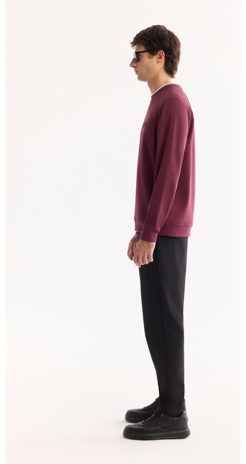 AVVA Erkek Gri Bisiklet Yaka Pamuklu Bi-Stretch Baskılı Regular Fit Sweatshirt A52Y1249 görsel 3