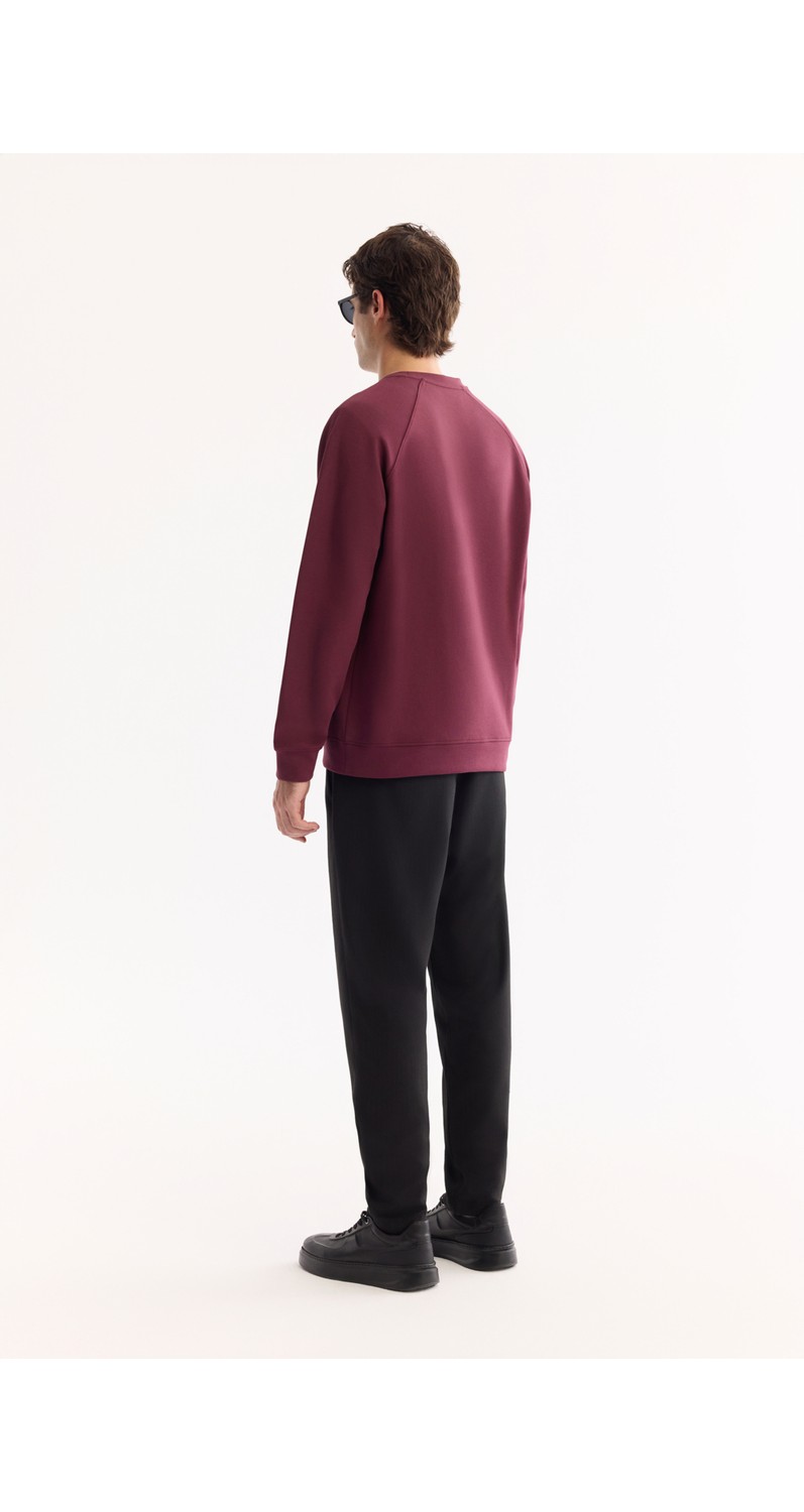 AVVA Erkek Gri Bisiklet Yaka Pamuklu Bi-Stretch Baskılı Regular Fit Sweatshirt A52Y1249 görsel 4