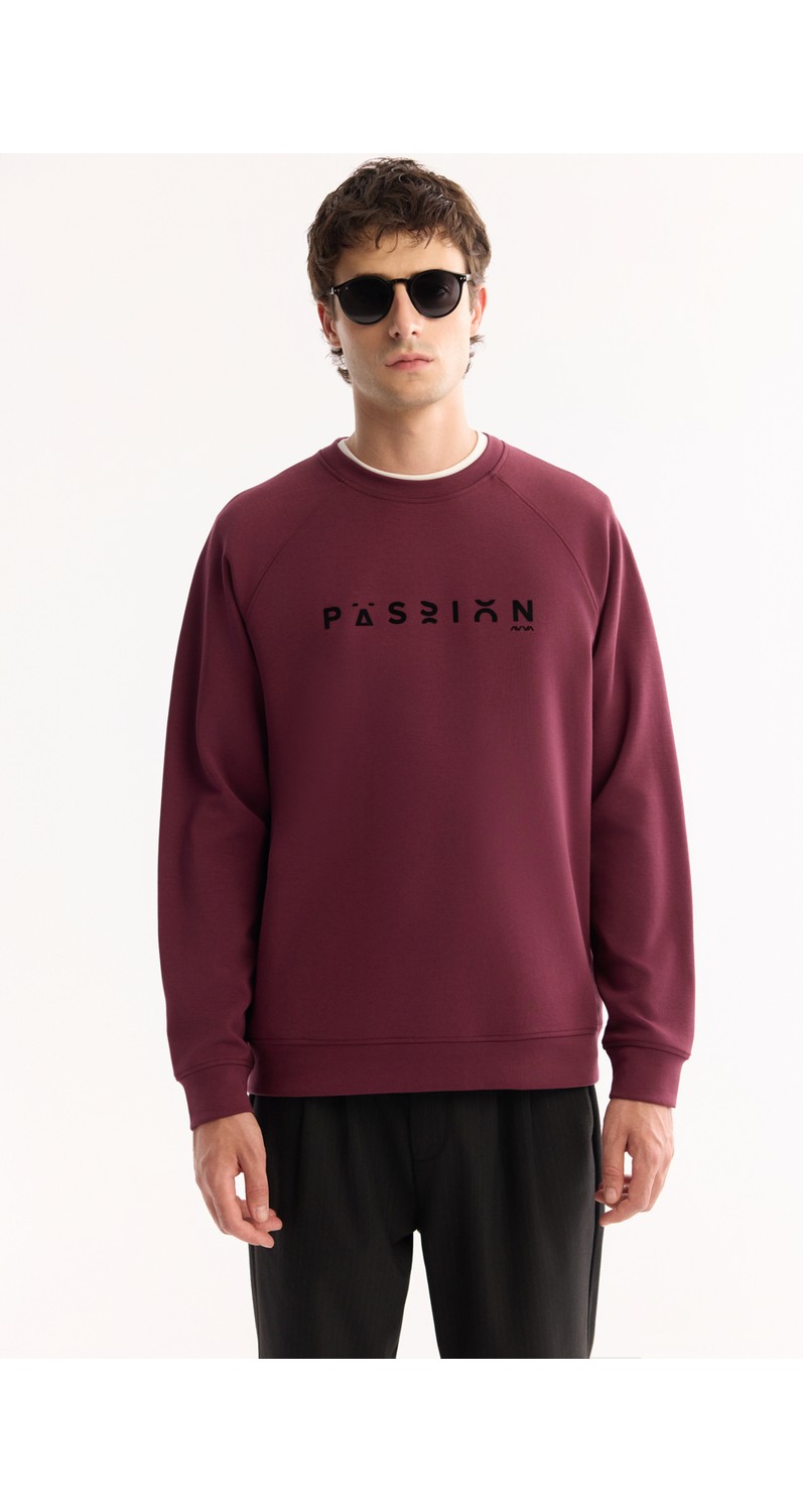 AVVA Erkek Gri Bisiklet Yaka Pamuklu Bi-Stretch Baskılı Regular Fit Sweatshirt A52Y1249 görsel 5