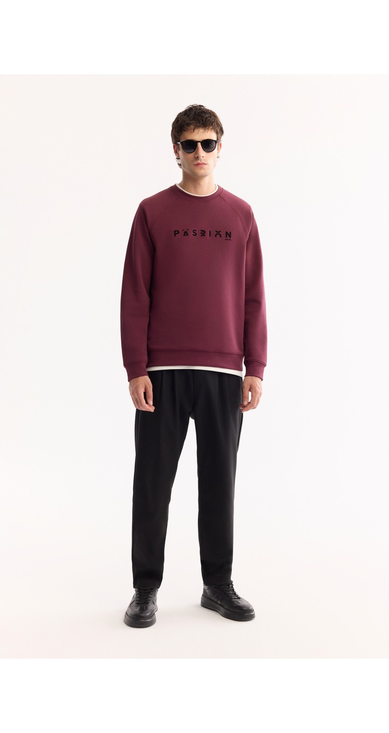 AVVA Erkek Gri Bisiklet Yaka Pamuklu Bi-Stretch Baskılı Regular Fit Sweatshirt A52Y1249 görsel 6