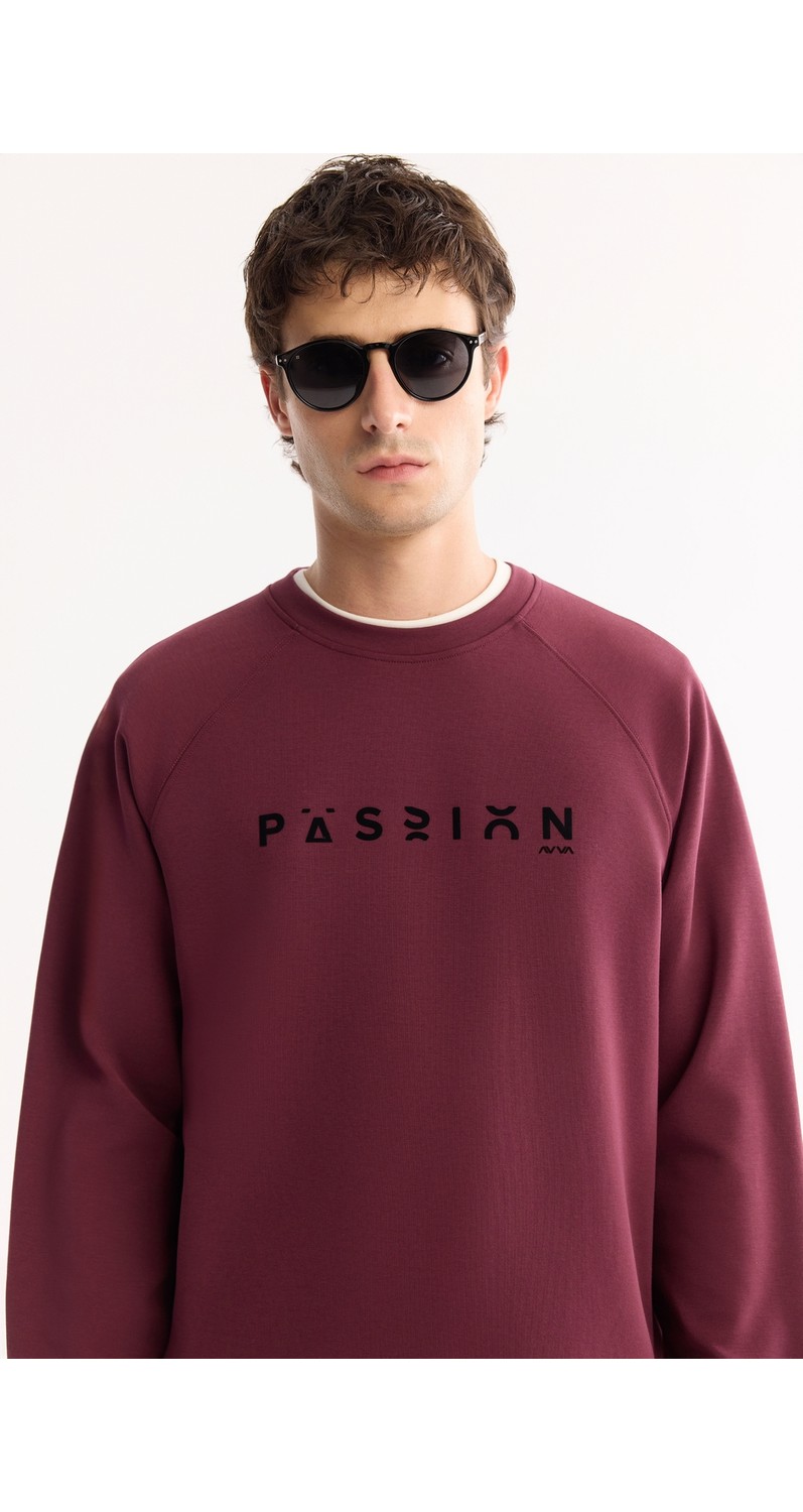 AVVA Erkek Gri Bisiklet Yaka Pamuklu Bi-Stretch Baskılı Regular Fit Sweatshirt A52Y1249 görsel 7