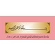  Renk Parlak Gold