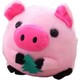 Seçili Renk Pembe