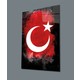 Seçili Renk Çok Renkli