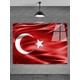 Seçili Renk Şeffaf