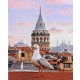 Seçili Renk Çok Renkli