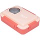  Renk Pembe