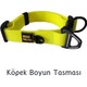 Seçili Renk Sarı