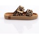  Renk Leopar