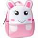  Renk Pembe