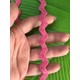  Renk Pembe